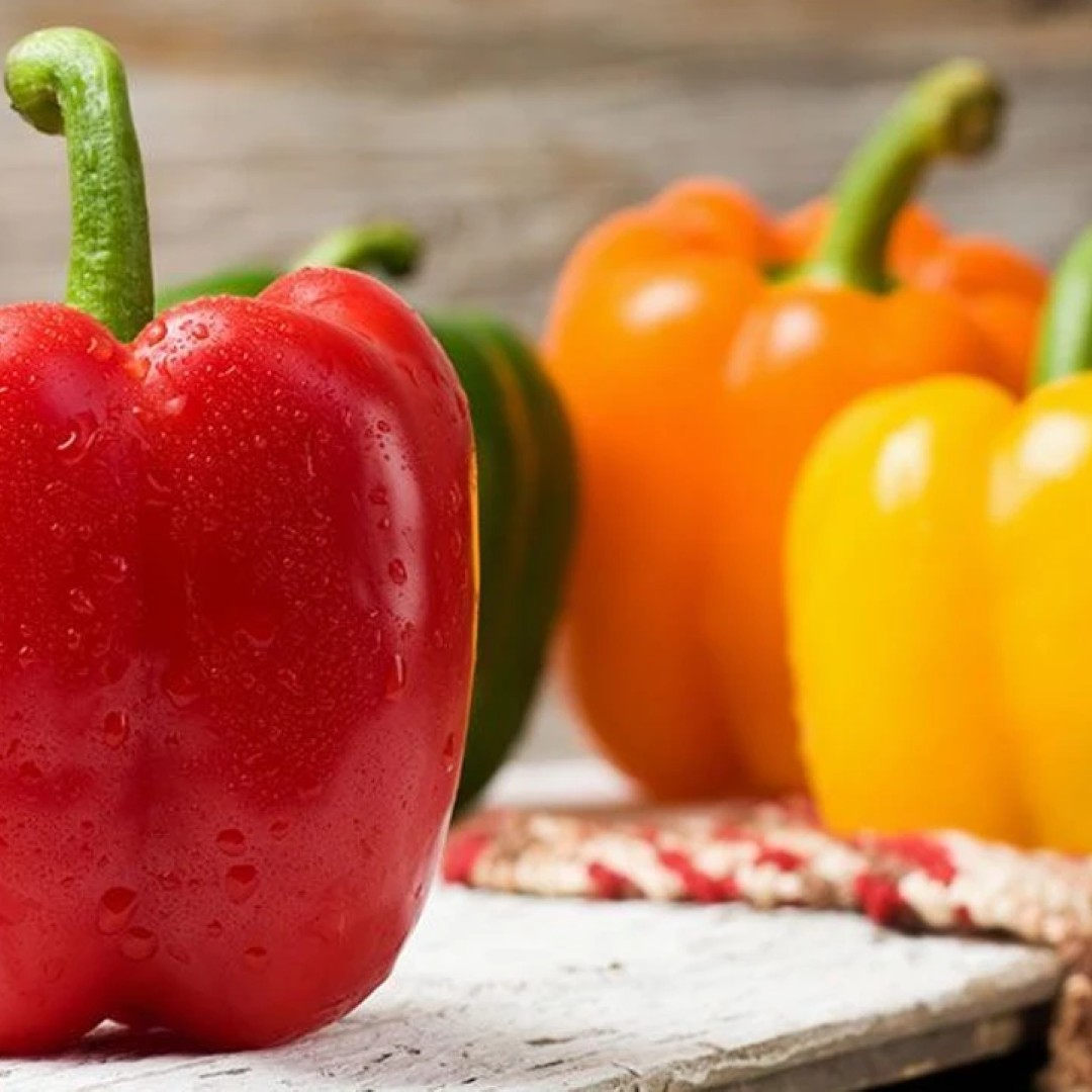 PIMIENTO
